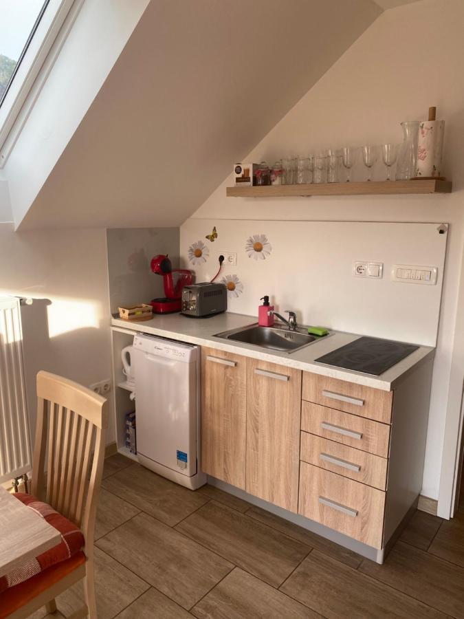 Apartment Marjetka Zirovnica Εξωτερικό φωτογραφία